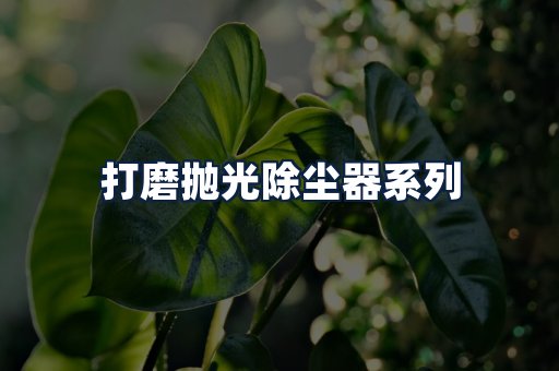 打磨抛光除尘器